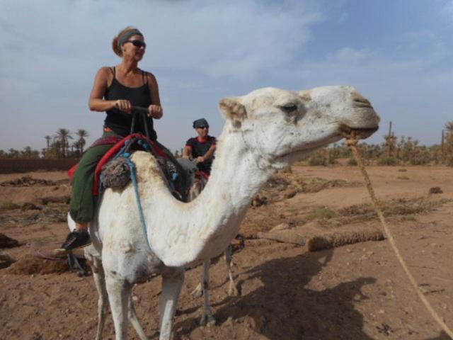 Hotel Carrefour Des Nomades M'Hamid Kültér fotó